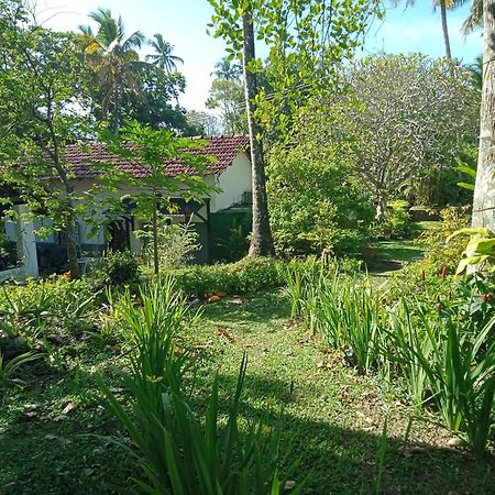 Freedom192 Weligama Exterior foto