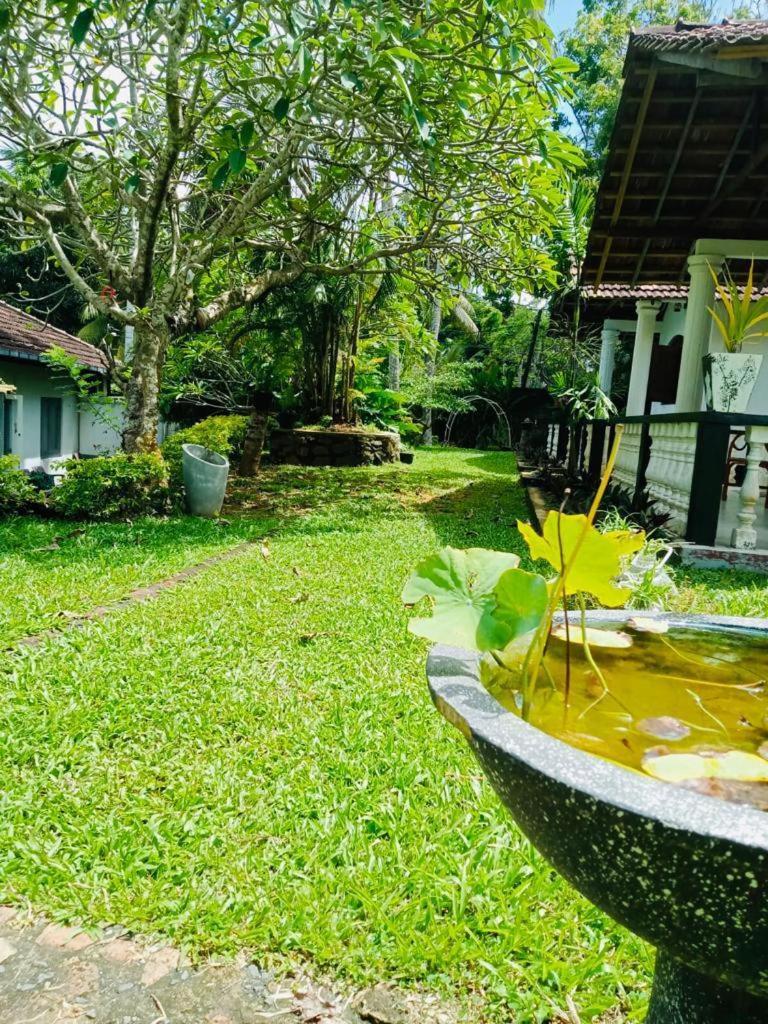 Freedom192 Weligama Exterior foto